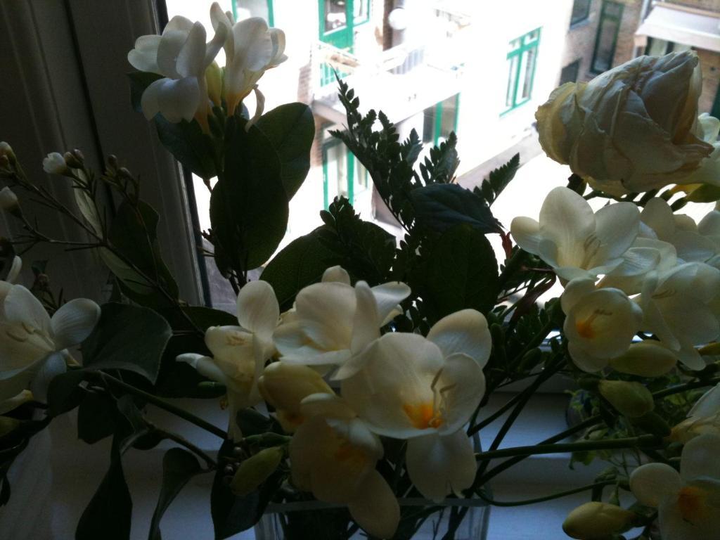 The Pea Blossom B&B コペンハーゲン エクステリア 写真